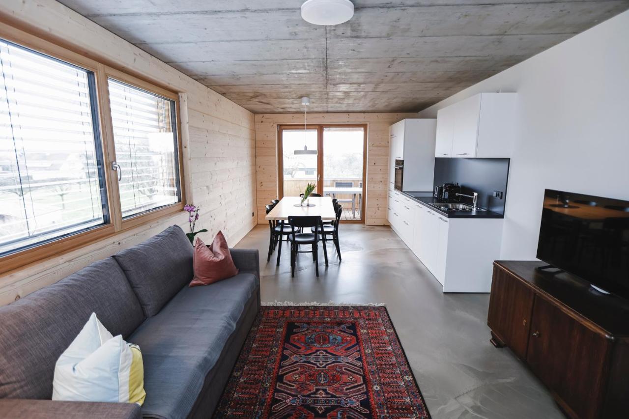 Boutique Apartments Lustenau Nachhaltige Kuehlung Ueber Erdsonde Und Fussbodenkuehlung Экстерьер фото
